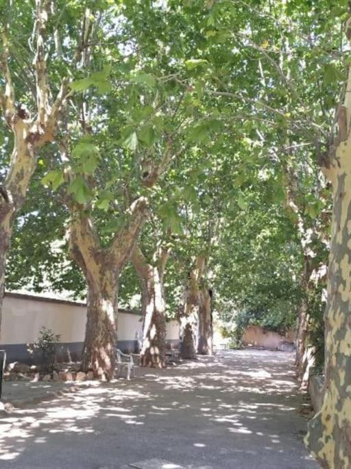 Toulon Est La Valette Studio 35M2 Dominant Parking Proche Mer Lägenhet Exteriör bild