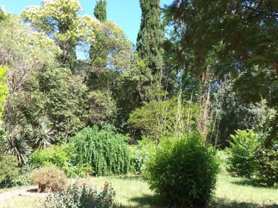 Toulon Est La Valette Studio 35M2 Dominant Parking Proche Mer Lägenhet Exteriör bild