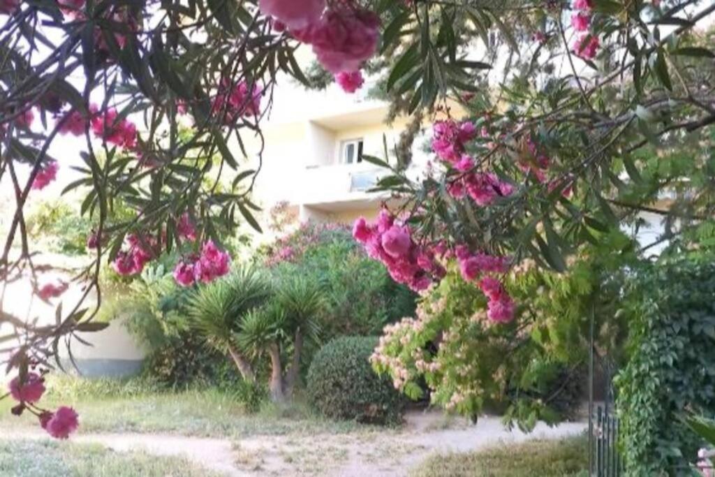 Toulon Est La Valette Studio 35M2 Dominant Parking Proche Mer Lägenhet Exteriör bild